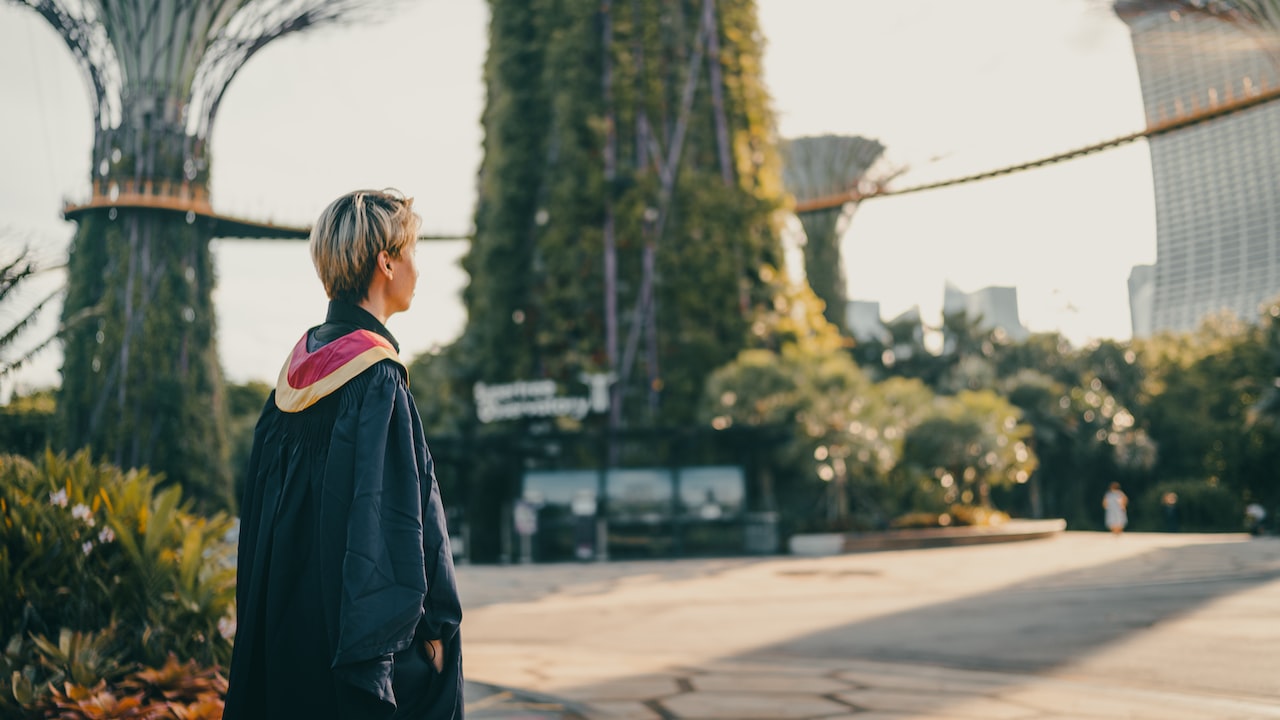 鹿特丹大学排名如何？（鹿特丹大学开设的专业有哪些）