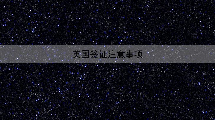 英国签证注意事项