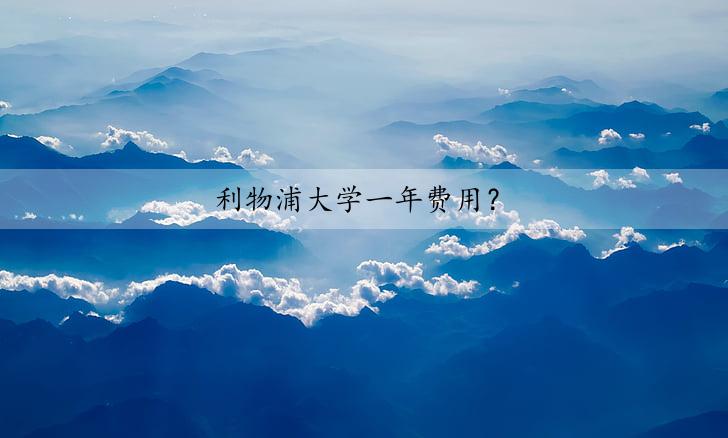 利物浦大学一年费用（利物浦大学留学费用）