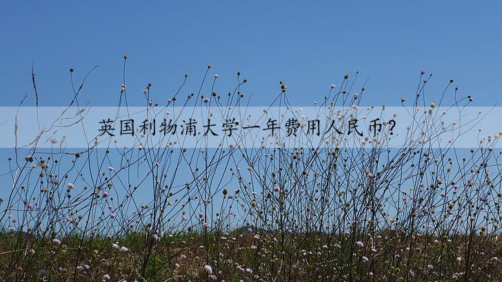 利物浦大学一年费用（利物浦大学留学费用）